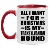 All I Want For Christmas Is My Transylvanian Hound - 11oz Accent Mug Red
