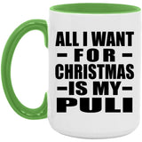 All I Want For Christmas Is My Puli - 15oz Accent Mug Green