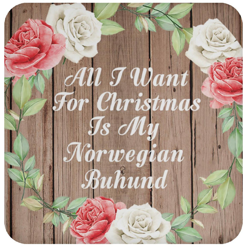 All I Want For Christmas Is My Norwegian Buhund - Drink Coaster B