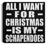All I Want For Christmas Is My Schapendoes - Canvas Square