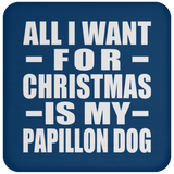 All I Want For Christmas Is My Papillon Dog - Coaster