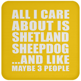 All I Care About Is Shetland Sheepdog - Drink Coaster