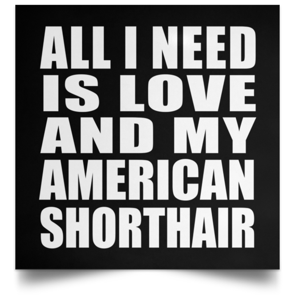 All I Need Is Love And My American Shorthair - Poster Square