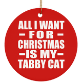 All I Want For Christmas Is My Tabby Cat - Circle Ornament