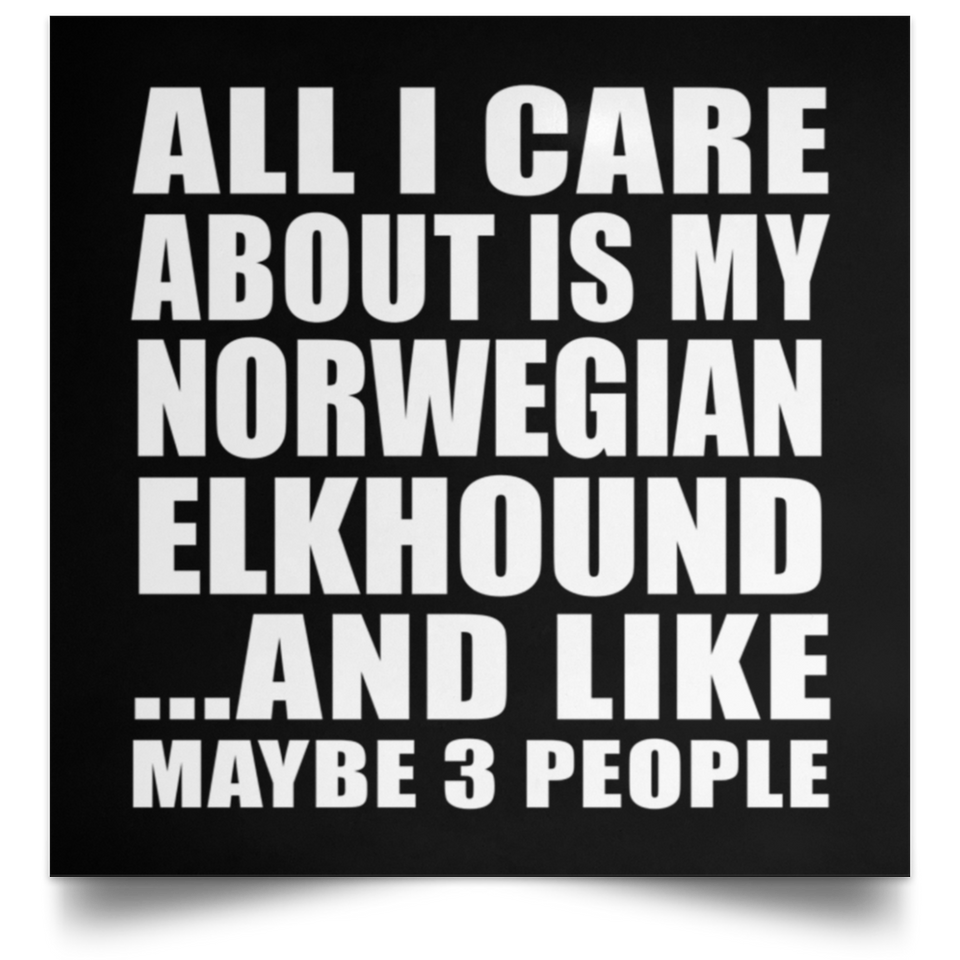 All I Care About Is My Norwegian Elkhound - Poster Square