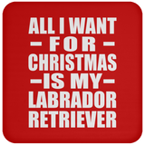 All I Want For Christmas Is My Labrador Retriever - Coaster