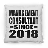 Management Consultant Since 2018 - Throw Pillow