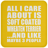 All I Care About Is Soft Coated Wheaten Terrier - Drink Coaster