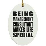 Being Management Consultant Makes Life Special - Oval Ornament