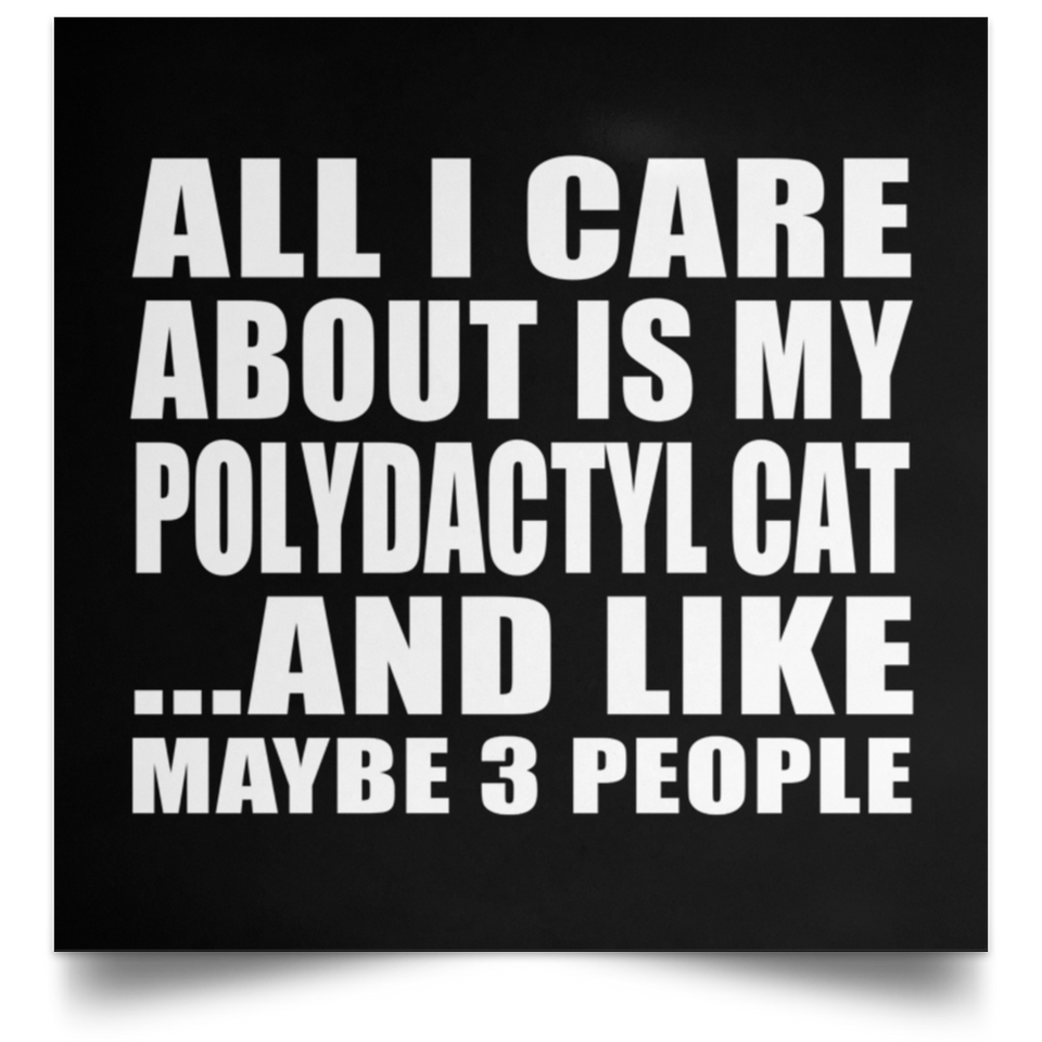 All I Care About Is My Polydactyl Cat - Poster Square