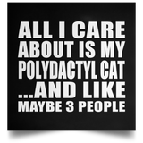 All I Care About Is My Polydactyl Cat - Poster Square