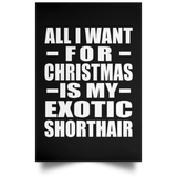 All I Want For Christmas Is My Exotic Shorthair - Poster Portrait
