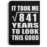 29th Birthday Took Square Root of 841 Years To Look Good - Canvas Portrait