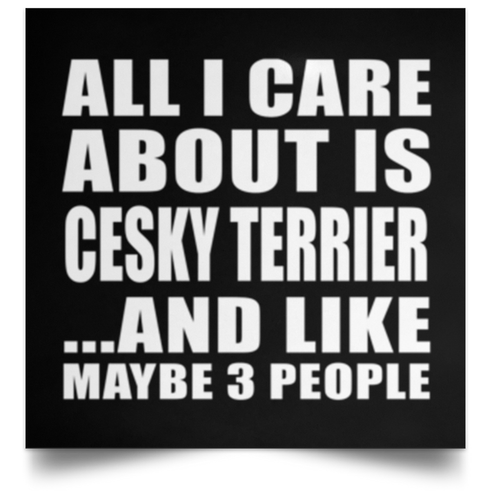 All I Care About Is Cesky Terrier - Poster Square