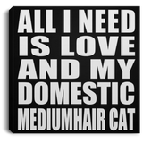 All I Need Is Love And My Domestic Mediumhair Cat - Canvas Square