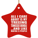 All I Care About Is My Treeing Tennessee Brindle - Star Ornament