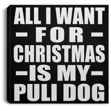 All I Want For Christmas Is My Puli Dog - Canvas Square