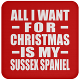 All I Want For Christmas Is My Sussex Spaniel - Coaster