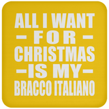 All I Want For Christmas Is My Bracco Italiano - Coaster