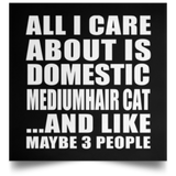 All I Care About Is Domestic Mediumhair Cat - Poster Square