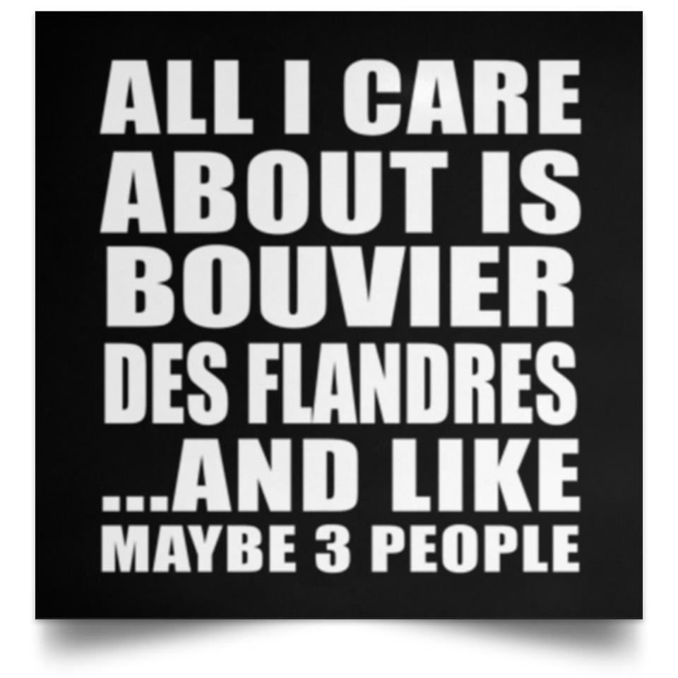 All I Care About Is Bouvier Des Flandres - Poster Square