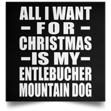 All I Want For Christmas Is My Entlebucher Mountain Dog - Poster Square