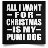 All I Want For Christmas Is My Pumi Dog - Poster Square