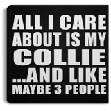 All I Care About Is My Collie - Canvas Square