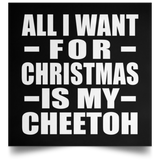 All I Want For Christmas Is My Cheetoh - Poster Square