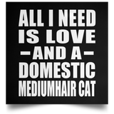 All I Need Is Love And A Domestic Mediumhair Cat - Poster Square