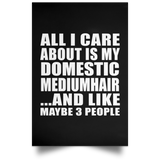 All I Care About Is My Domestic Mediumhair - Poster Portrait