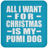 All I Want For Christmas Is My Pumi Dog - Coaster