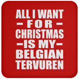 All I Want For Christmas Is My Belgian Tervuren - Coaster