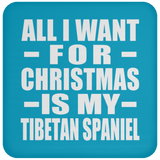 All I Want For Christmas Is My Tibetan Spaniel - Coaster
