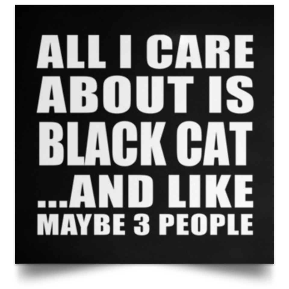 All I Care About Is Black Cat - Poster Square