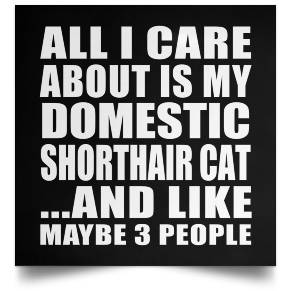 All I Care About Is My Domestic Shorthair Cat - Poster Square