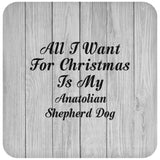 All I Want For Christmas Is My Anatolian Shepherd Dog - Drink Coaster F