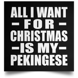All I Want For Christmas Is My Pekingese - Poster Square