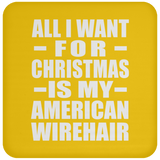 All I Want For Christmas Is My American Wirehair - Coaster