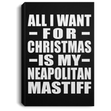 All I Want For Christmas Is My Neapolitan Mastiff - Canvas Portrait