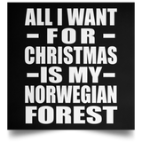 All I Want For Christmas Is My Norwegian Forest - Poster Square