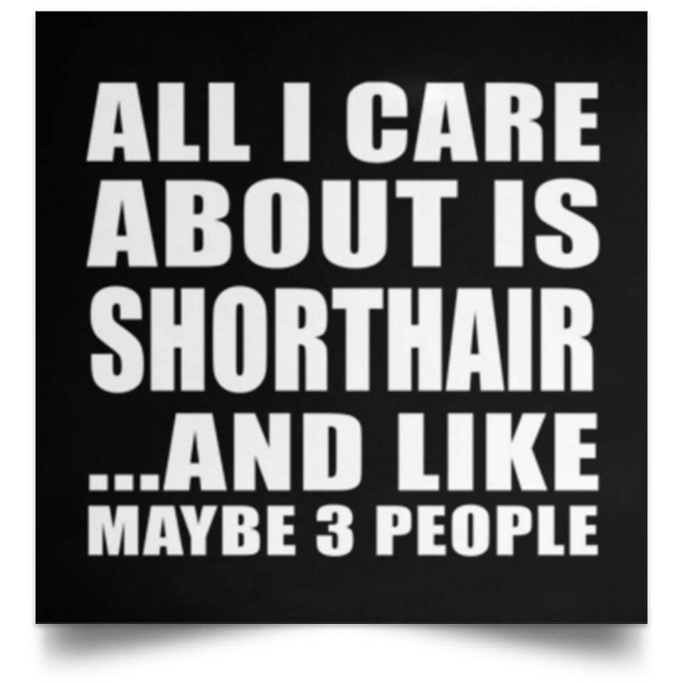 All I Care About Is Shorthair - Poster Square