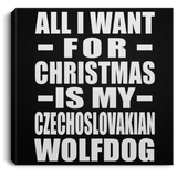 All I Want For Christmas Is My Czechoslovakian Wolfdog - Canvas Square