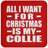 All I Want For Christmas Is My Collie - Coaster