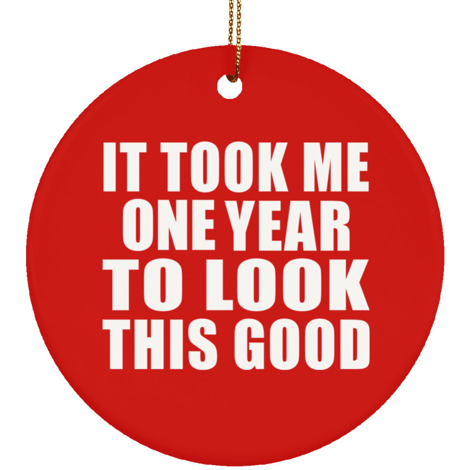 1st Birthday Took Me 1 Year To Look This Good - Circle Ornament