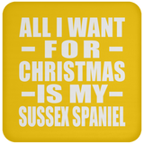 All I Want For Christmas Is My Sussex Spaniel - Coaster