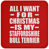 All I Want For Christmas Is My Staffordshire Bull Terrier - Coaster