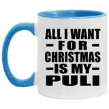 All I Want For Christmas Is My Puli - 11oz Accent Mug Blue