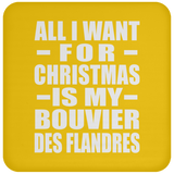 All I Want For Christmas Is My Bouvier Des Flandres - Coaster