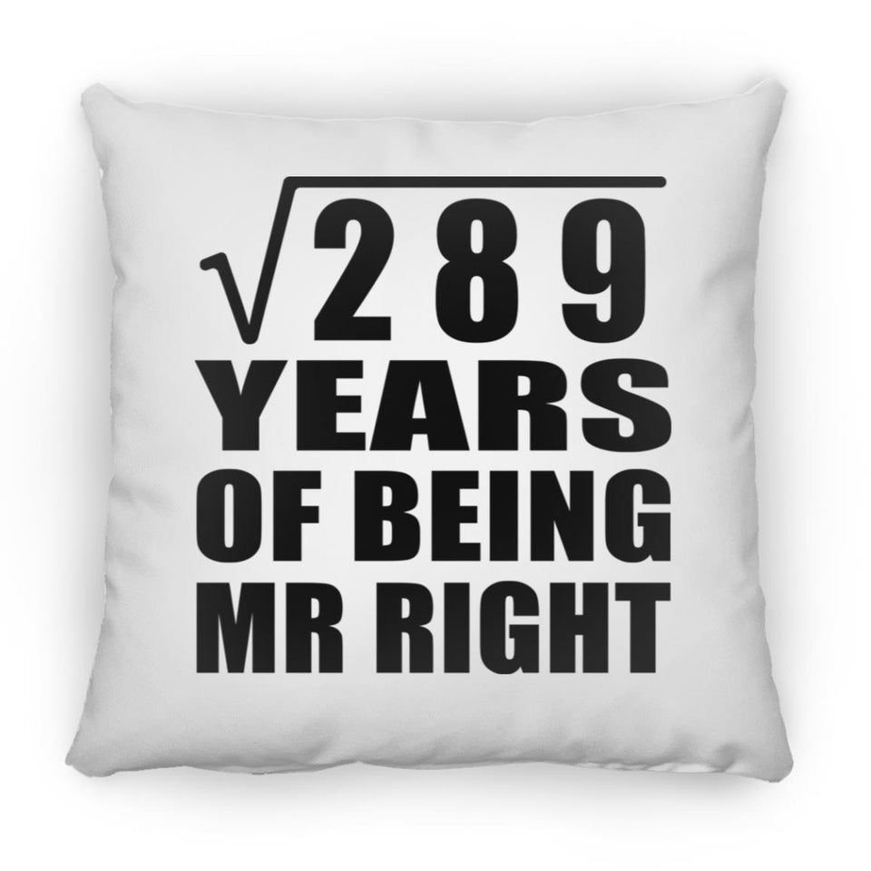 17th Anniversary Square Root of 289 Years of Being Mr Right - Throw Pillow